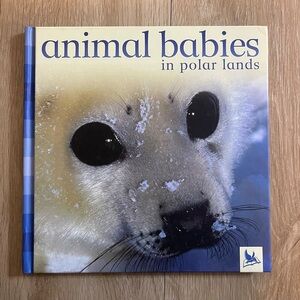 Animal Babies in Polar Lands Jennifer Schofield